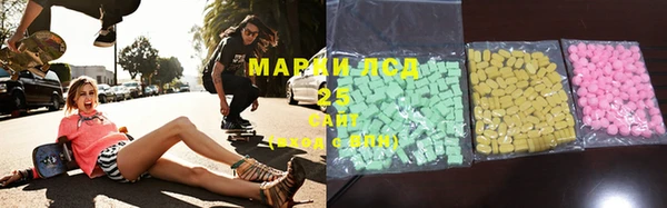 гидра Горно-Алтайск