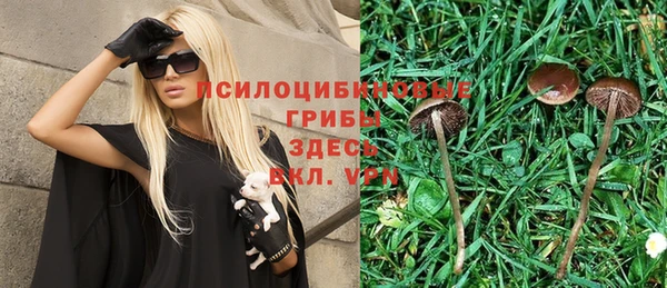 a pvp Вязьма