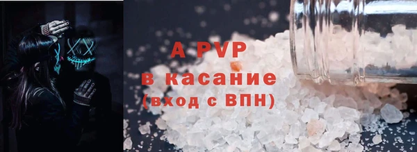 спиды Вяземский