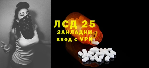 ГАЛЛЮЦИНОГЕННЫЕ ГРИБЫ Горнозаводск