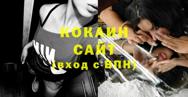 спиды Вяземский