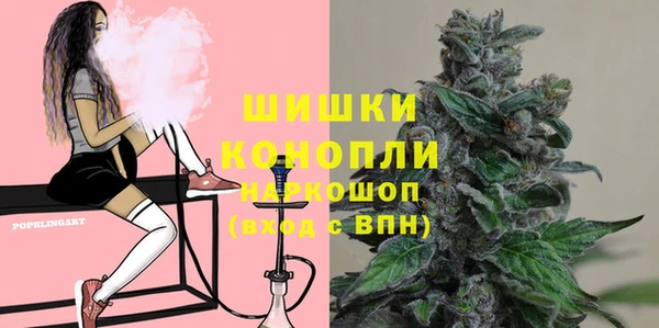 спиды Вяземский