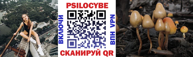 Галлюциногенные грибы мицелий  Дальнереченск 